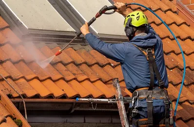 Démoussage et hydrofuge de toiture à Chougny